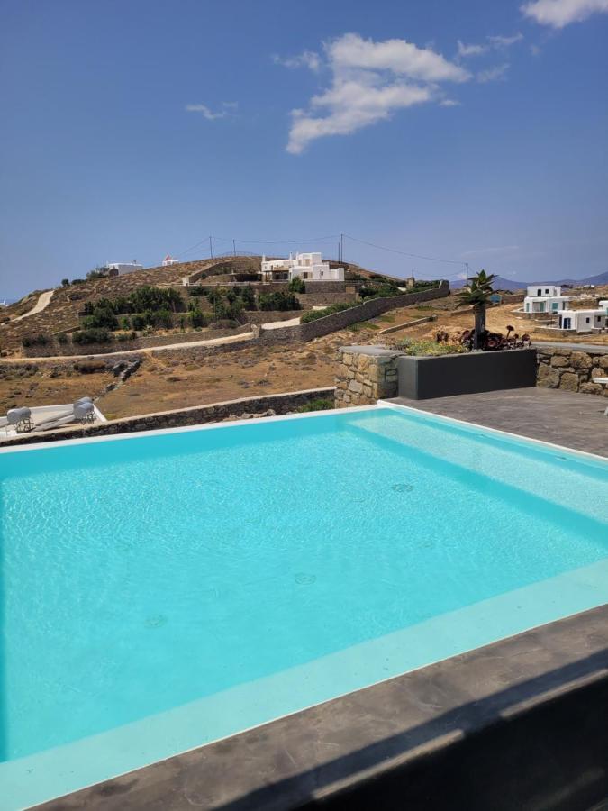 Ficus Villa